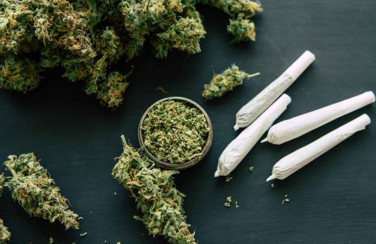 Medical Cannabis Pharmacy2