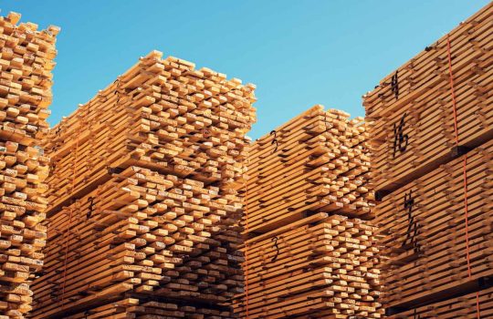 מנסרת עצים2