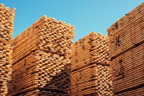 מנסרת עצים2