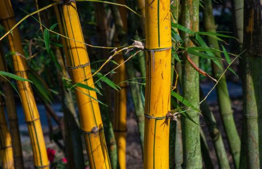 פתרונות במבוק2